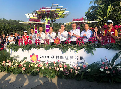 【精彩賞析】葉子花語夢，添香逐悅風(fēng) | 2019深圳簕杜鵑花展之悅動花園
