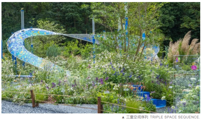 無界 Unbounded | 2022粵港澳大灣區(qū)深圳花展城市花園(圖8)