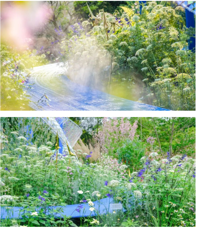 無界 Unbounded | 2022粵港澳大灣區(qū)深圳花展城市花園(圖10)